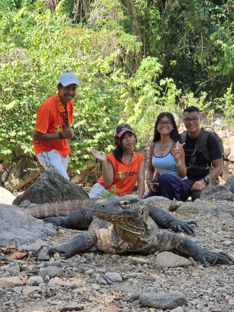 day tour