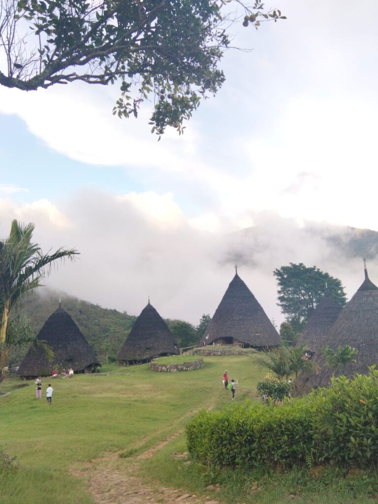 rebo wae