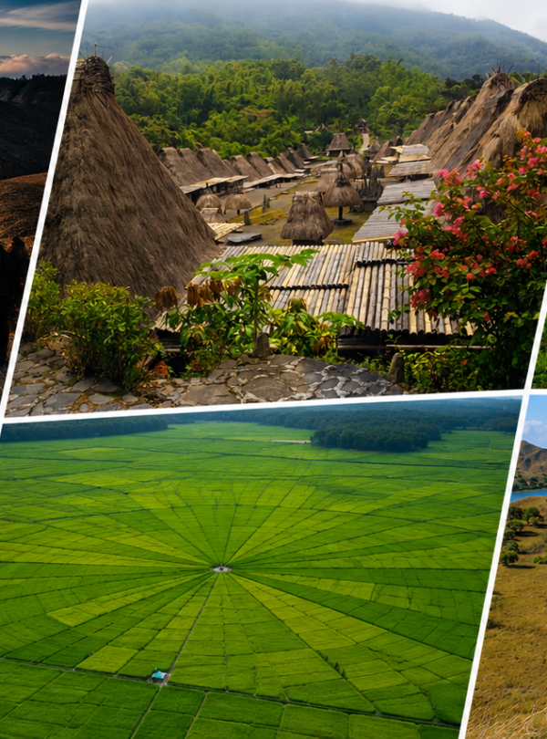 flores island tours